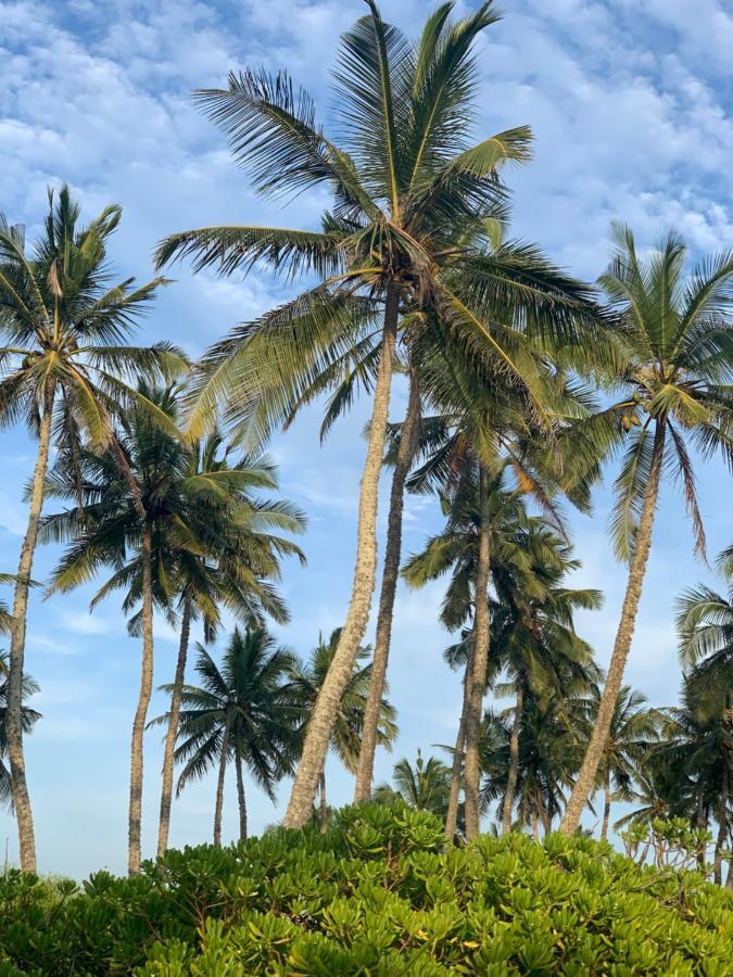Serein Beach Hotel Tangalle Luaran gambar